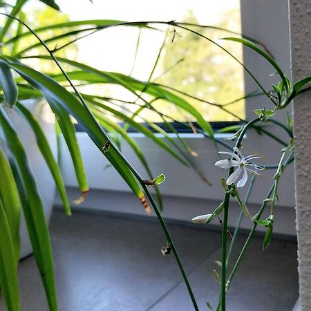 Kempten Mit Bauernhof-Flair Ngoại thất bức ảnh