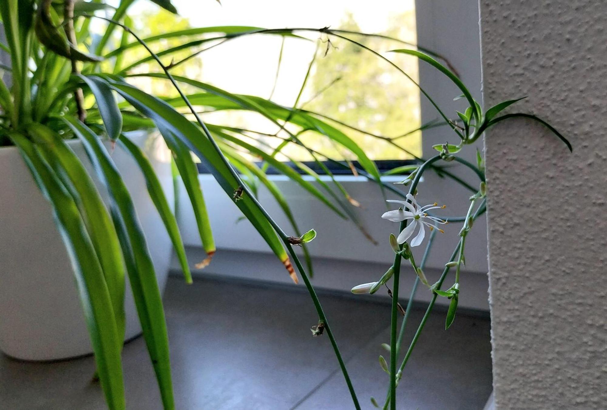 Kempten Mit Bauernhof-Flair Ngoại thất bức ảnh